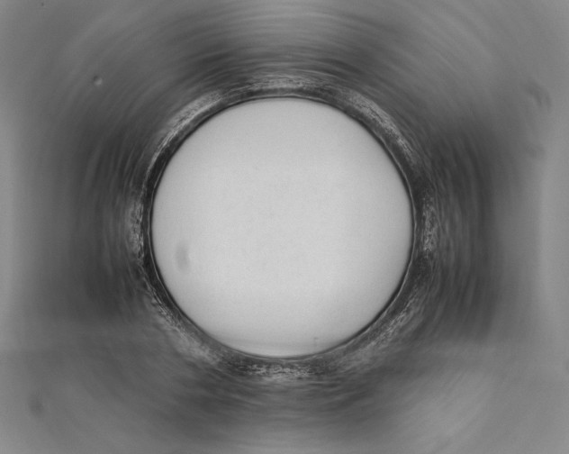 X0000112040786200908311235