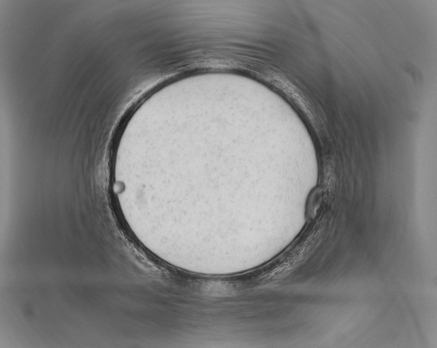 X0000112040787200908311235
