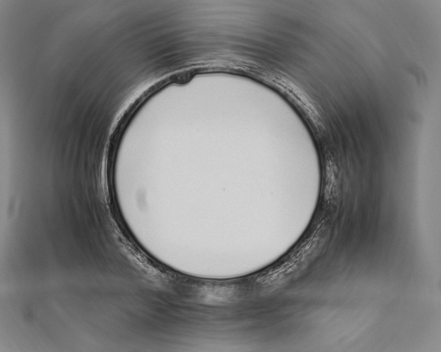 X0000112040788200908311235
