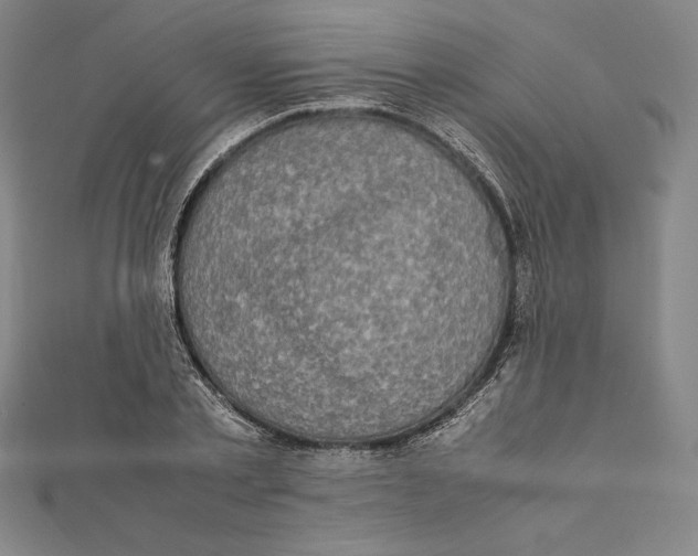 X0000112040789200908311235