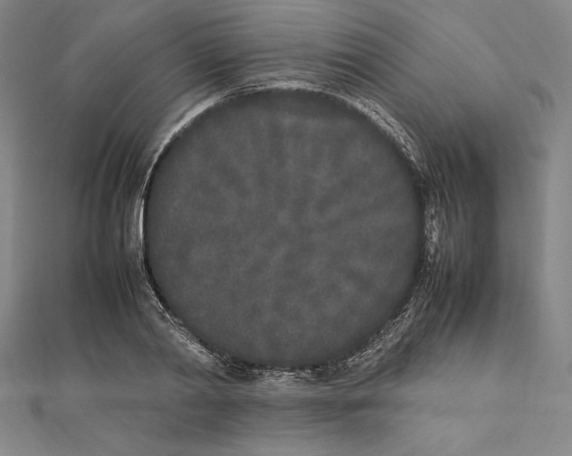 X0000112040790200908311235
