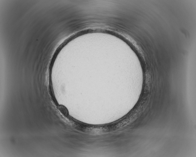 X0000112040791200908311235