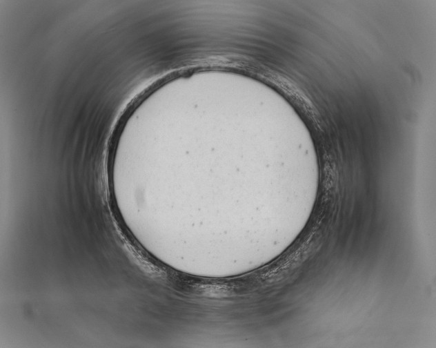 X0000112040792200908311235