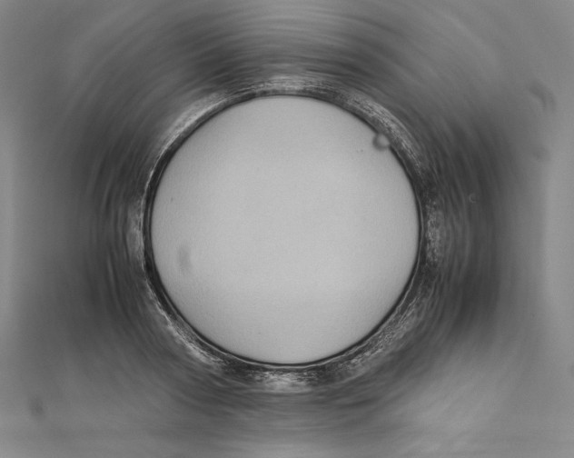 X0000112040794200908311235