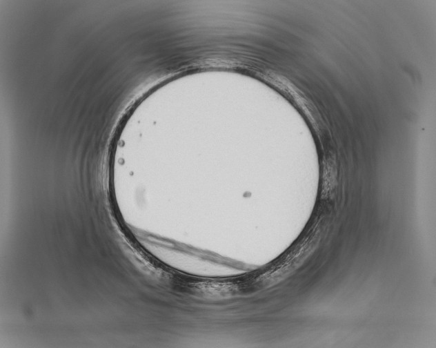 X0000112040795200908311235