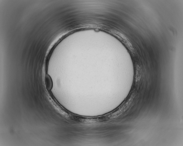 X0000112040796200908311235