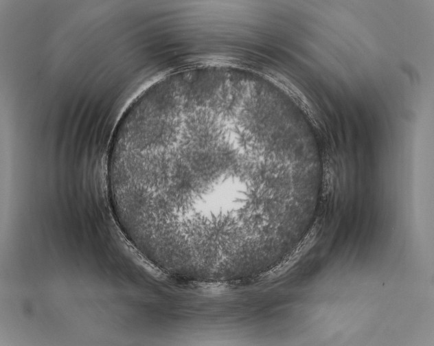 X0000112040798200908311235