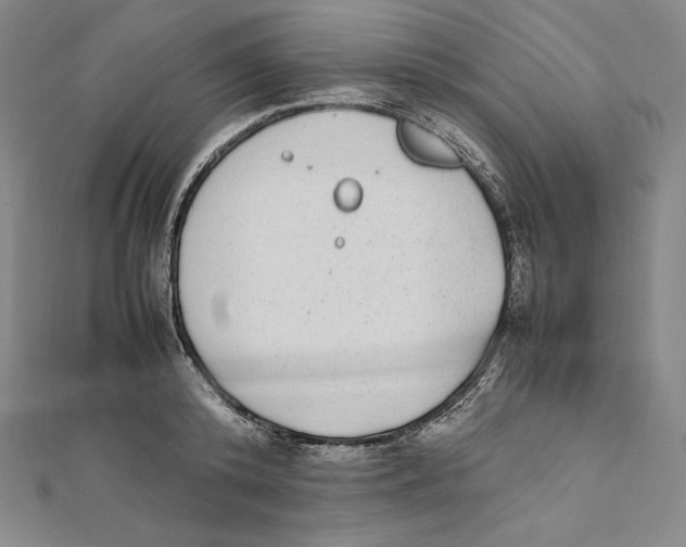 X0000112040800200908311235
