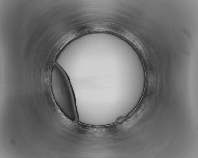 X0000112040801200908311235