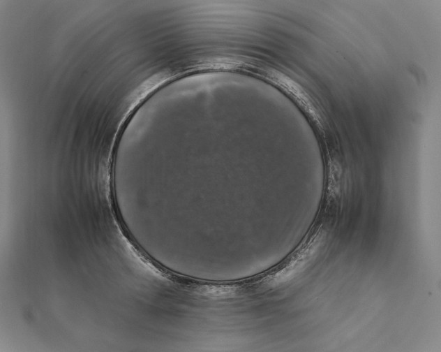 X0000112040802200908311235