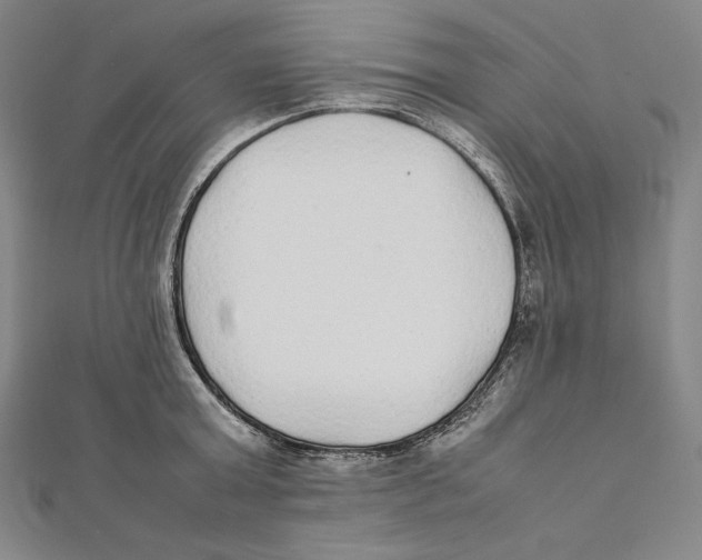 X0000112040803200908311235