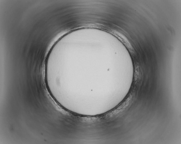 X0000112040804200908311235