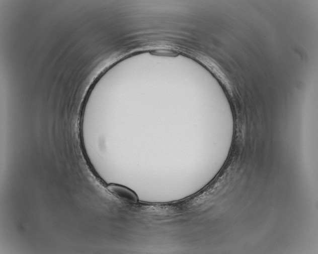 X0000112040805200908311235