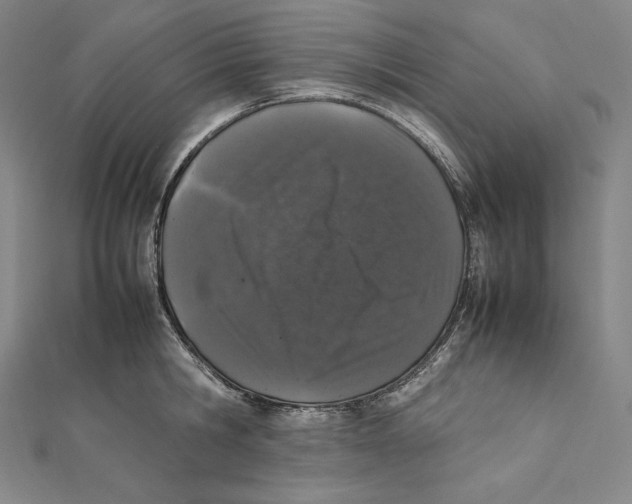 X0000112040806200908311235