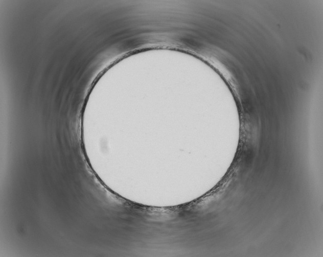 X0000112040807200908311235