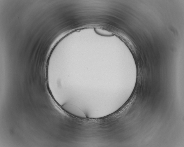 X0000112040808200908311235