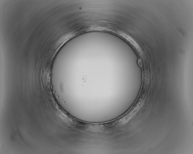 X0000112040809200908311235