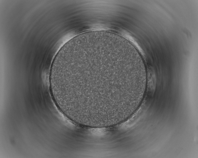 X0000112040810200908311235