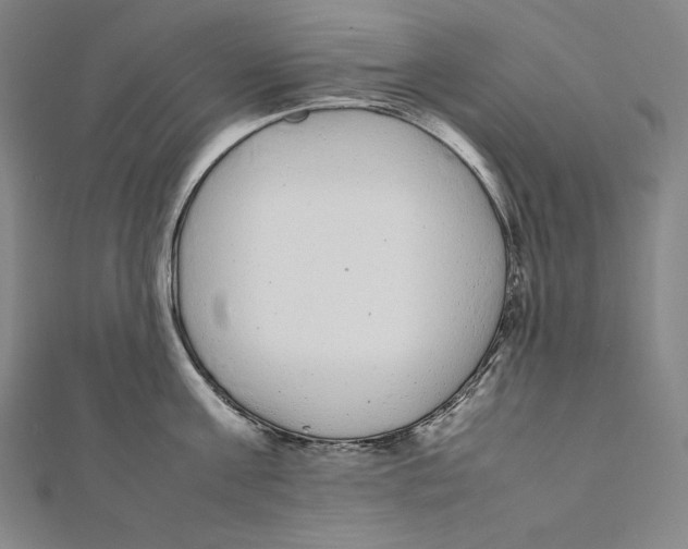 X0000112040811200908311235