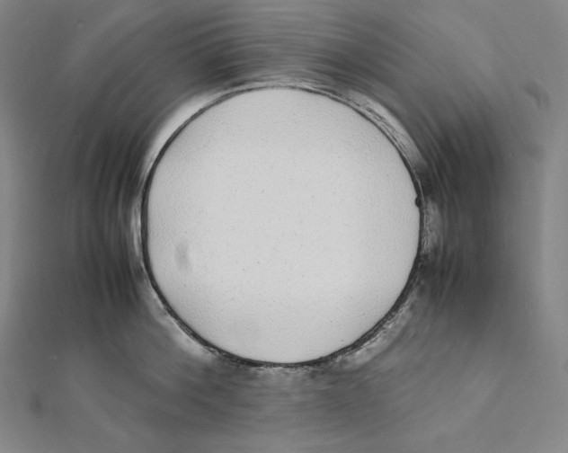 X0000112040812200908311235