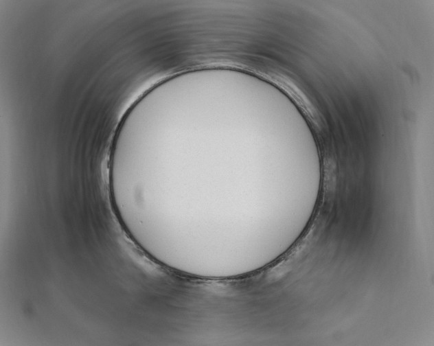 X0000112040814200908311234