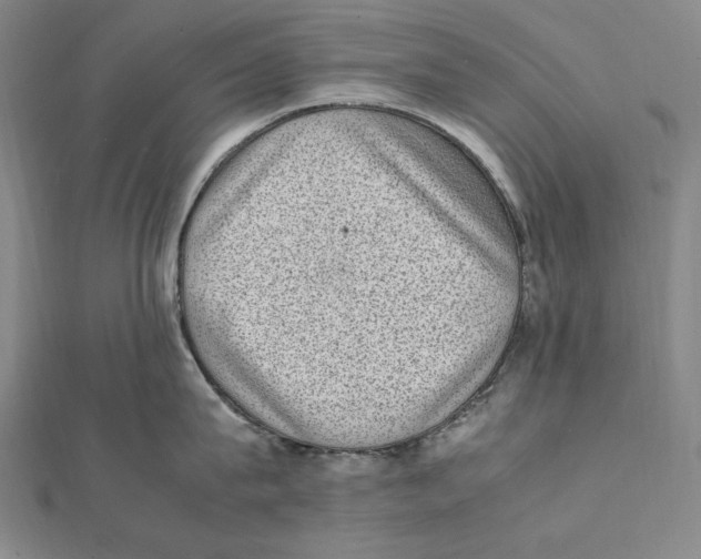 X0000112040815200908311234