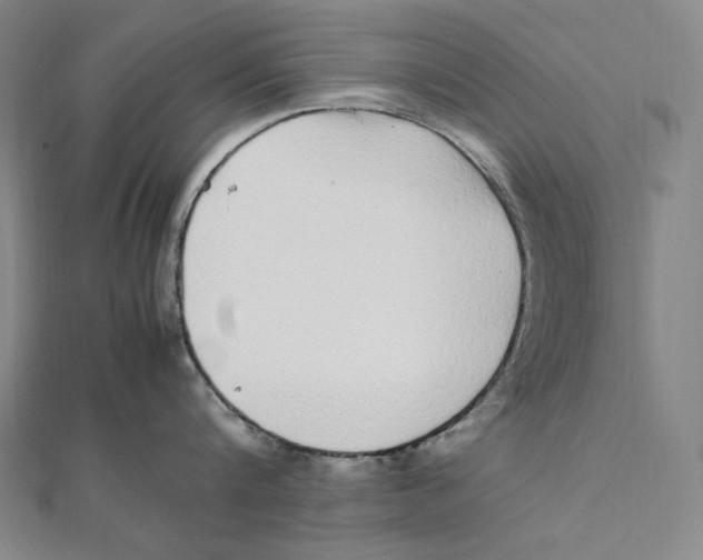 X0000112040816200908311234