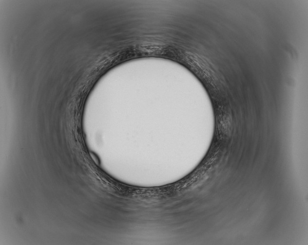 X0000112040817200908311234