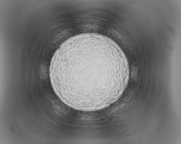 X0000112040819200908311234
