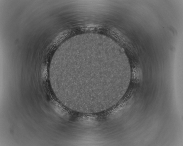 X0000112040820200908311234