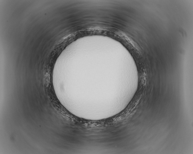 X0000112040821200908311234