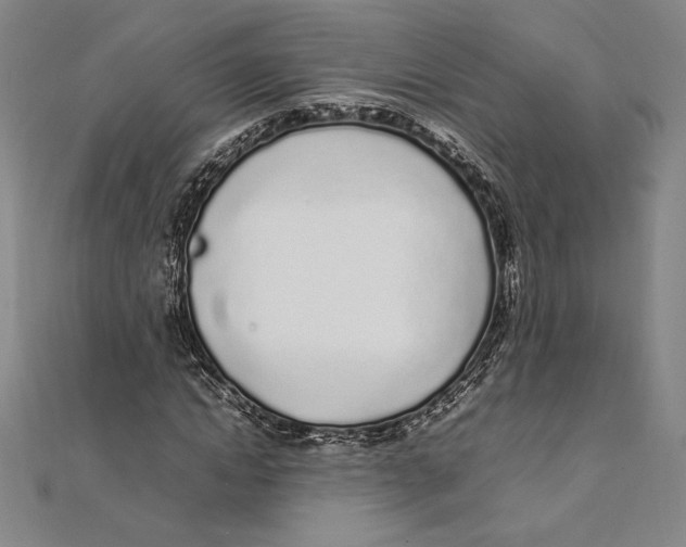 X0000112040822200908311234