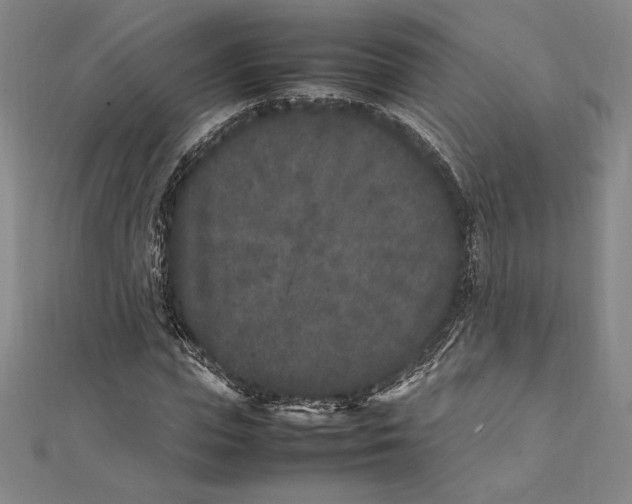 X0000112040823200908311234