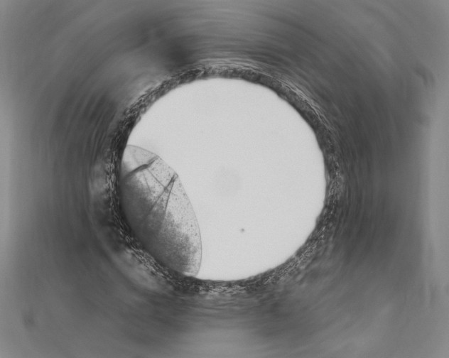 X0000112040824200908311234