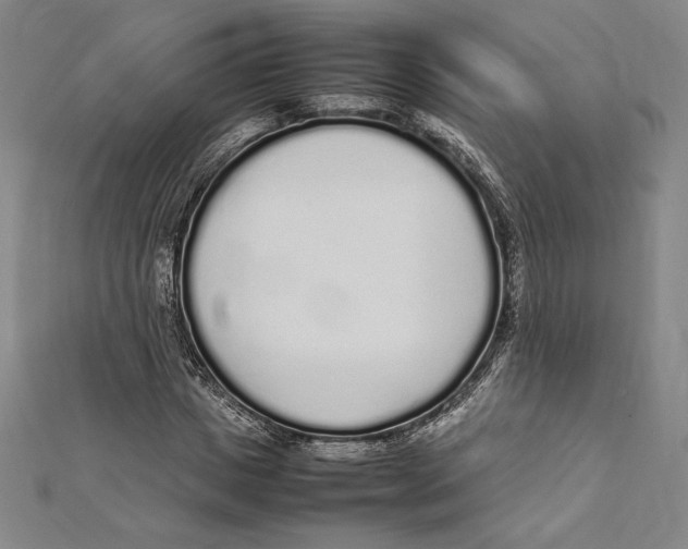 X0000112040825200908311234
