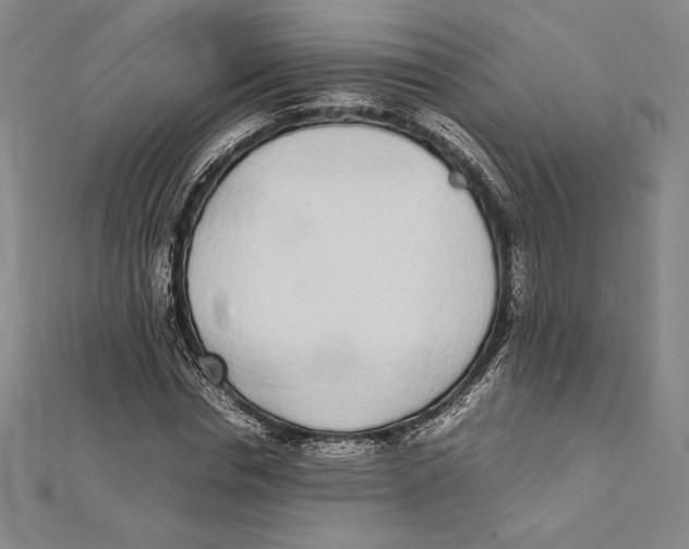 X0000112040826200908311234