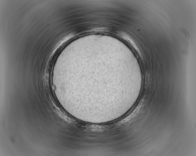 X0000112040827200908311234
