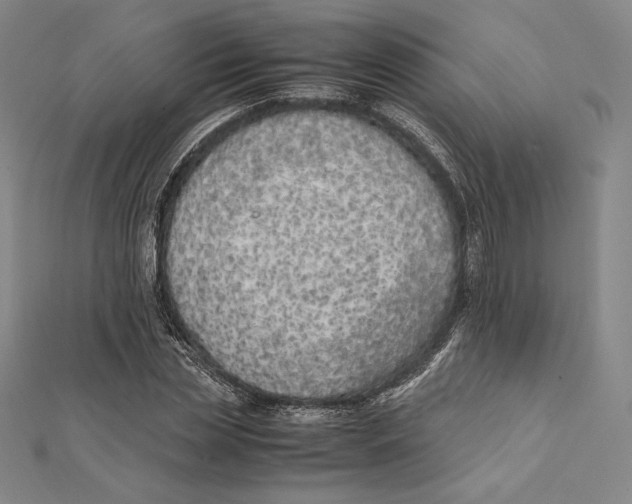 X0000112040829200908311234
