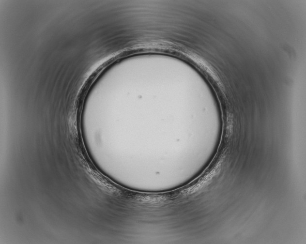 X0000112040830200908311234