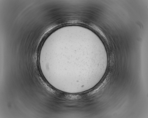 X0000112040831200908311234