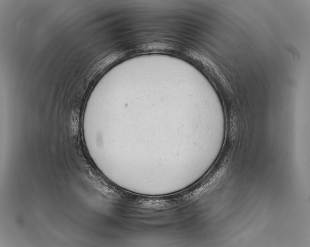 X0000112040833200908311234