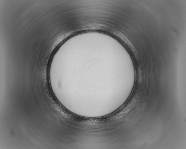 X0000112040834200908311234