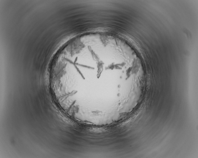X0000112040835200908311234