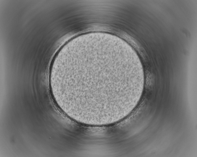 X0000112040836200908311234