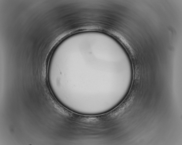 X0000112040837200908311234