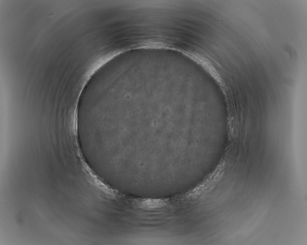 X0000112040839200908311234