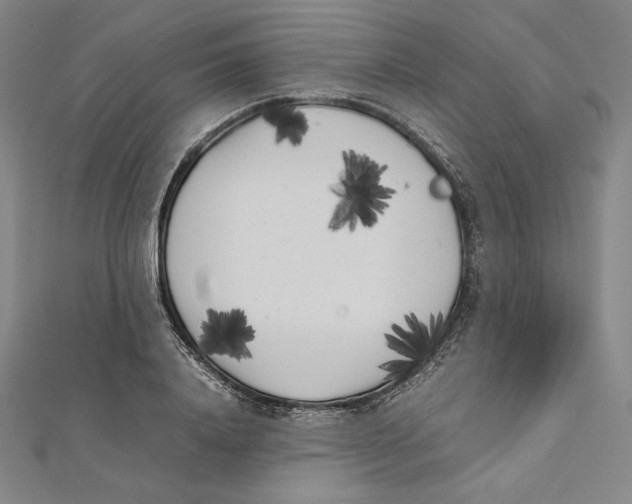 X0000112040840200908311234