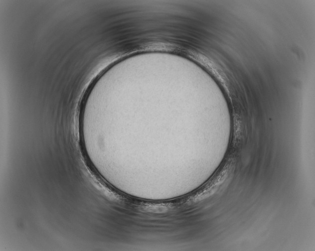 X0000112040843200908311234