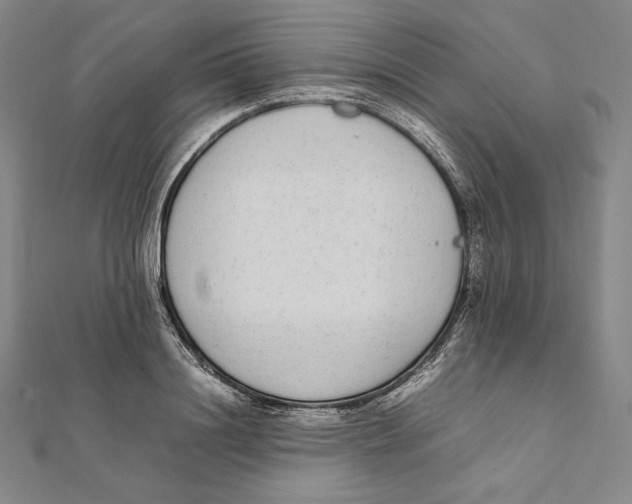 X0000112040844200908311234