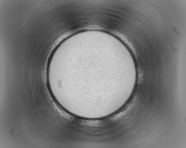 X0000112040845200908311234